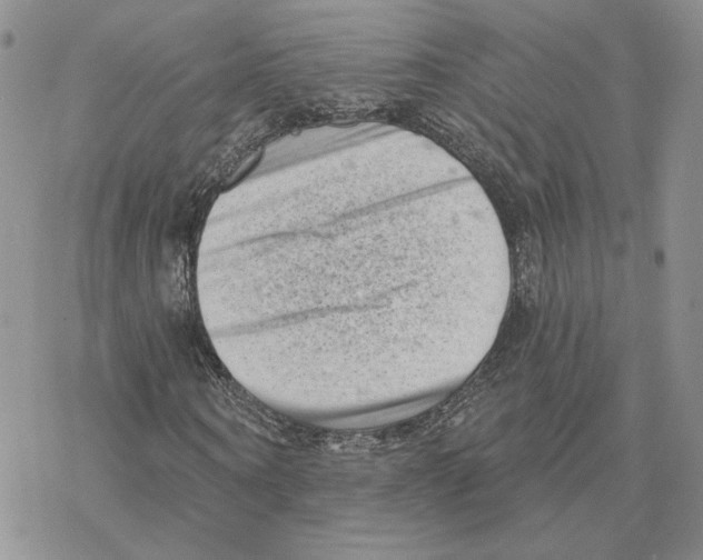 X0000077310866200611171715