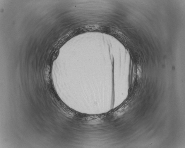 X0000077310867200611171715