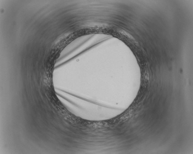 X0000077310869200611171715