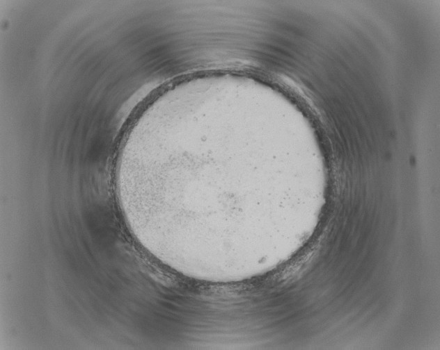 X0000077310875200611171715