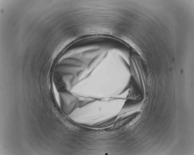 X0000077310885200611171714