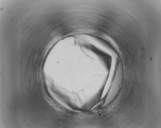 X0000077310907200611171714