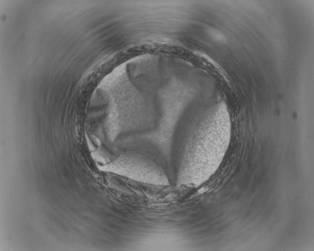 X0000077310919200611171713