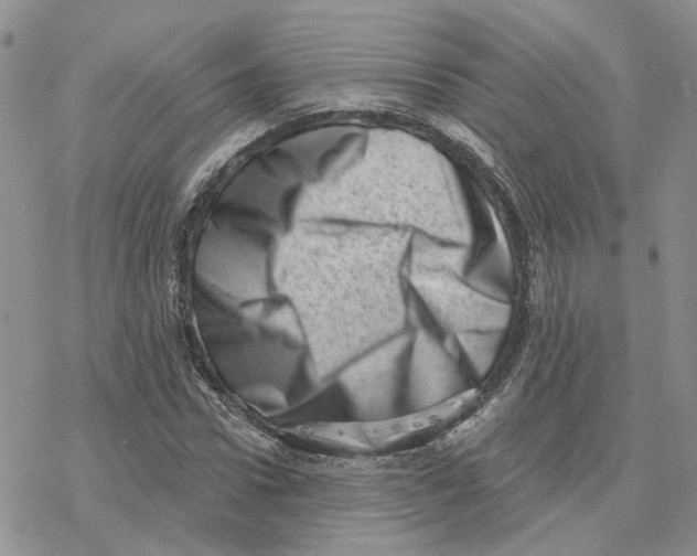 X0000077310922200611171713