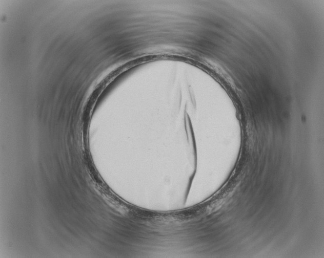 X0000077310931200611171714
