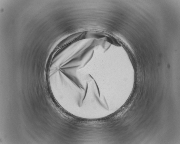 X0000077310932200611171714