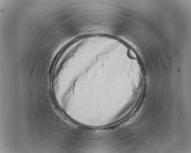 X0000077310933200611171714