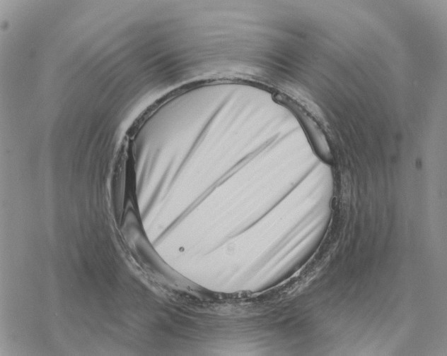 X0000077310936200611171714