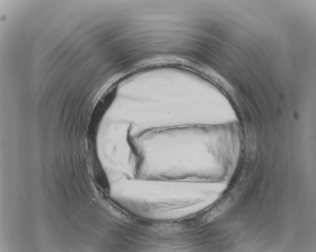 X0000077310953200611171714