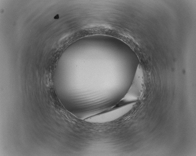 X0000077310965200611171713