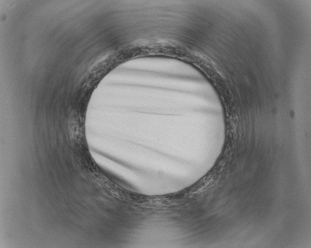 X0000077310966200611171713