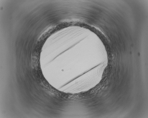 X0000077310967200611171713