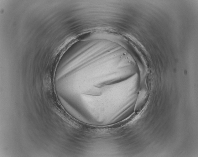 X0000077310969200611171713