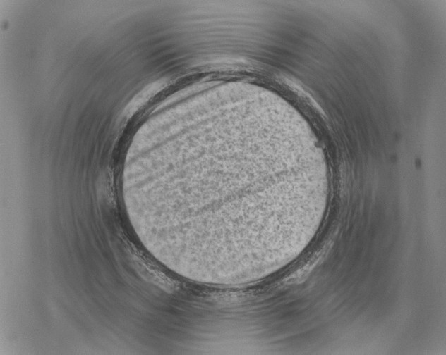 X0000077310970200611171713