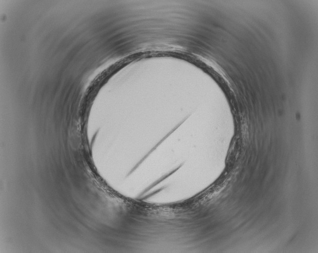 X0000077310971200611171713