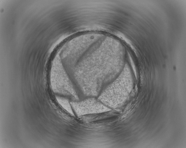 X0000077310975200611171713