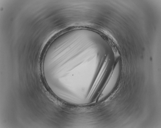 X0000077310976200611171713