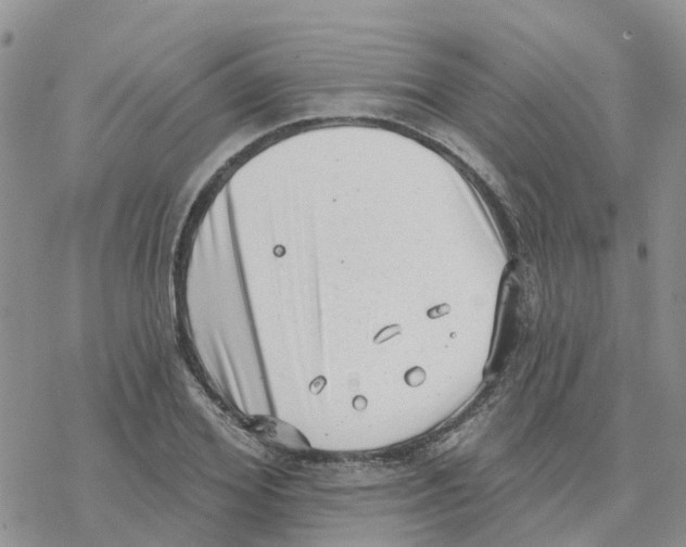 X0000077310980200611171713