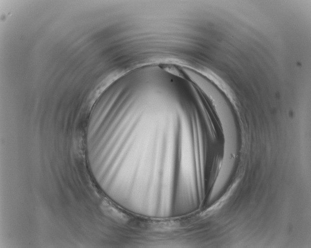 X0000077311001200611171713