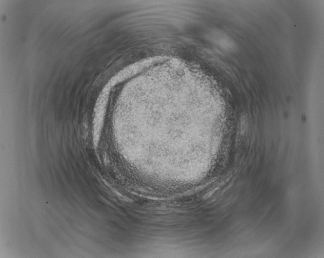 X0000077311011200611171712
