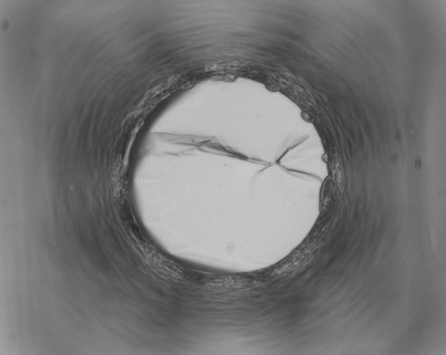 X0000077311012200611171712