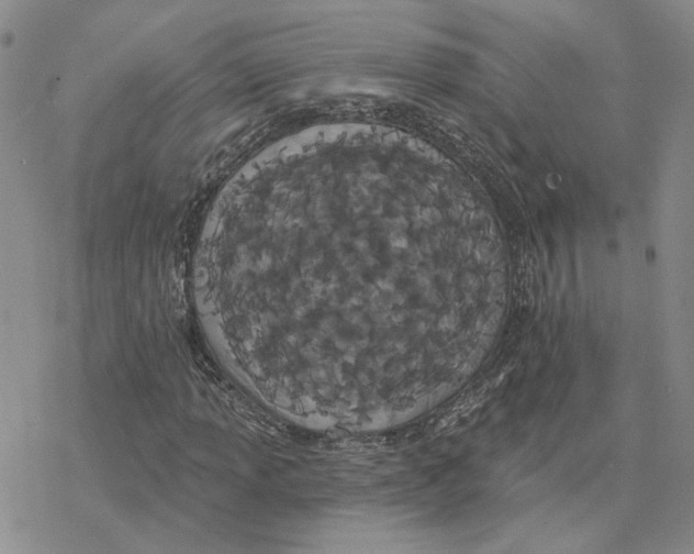 X0000077311013200611171712