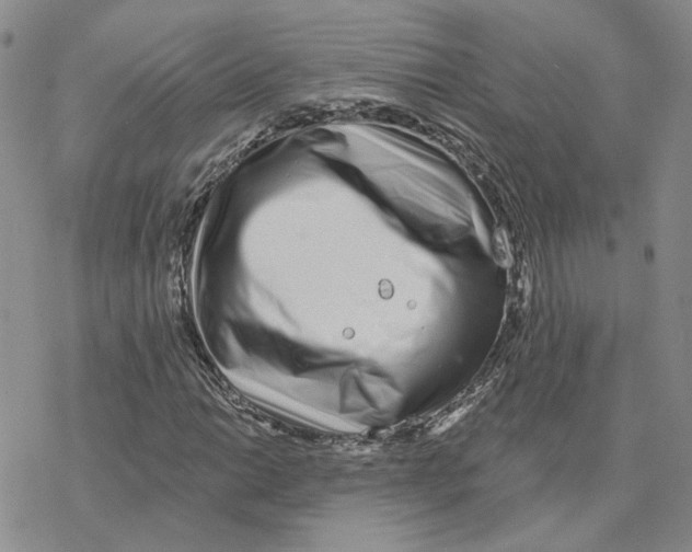 X0000077311014200611171712
