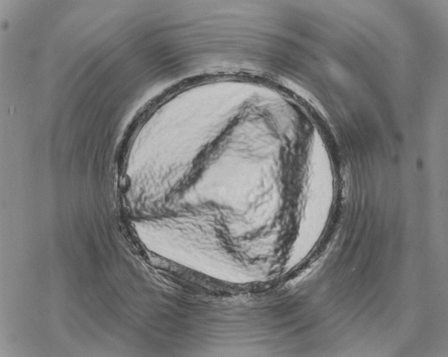 X0000077311021200611171712