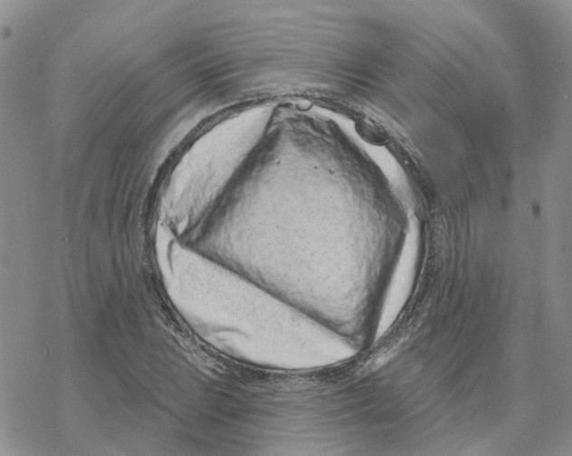 X0000077311023200611171712