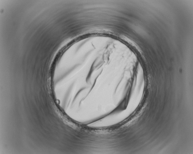 X0000077311029200611171712