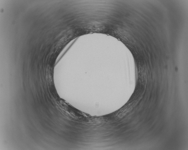 X0000077311058200611171712
