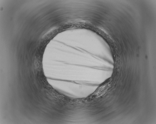 X0000077311063200611171712