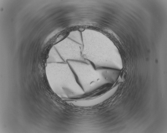 X0000077311064200611171712
