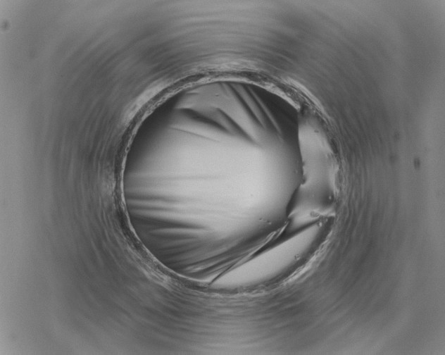 X0000077311065200611171712