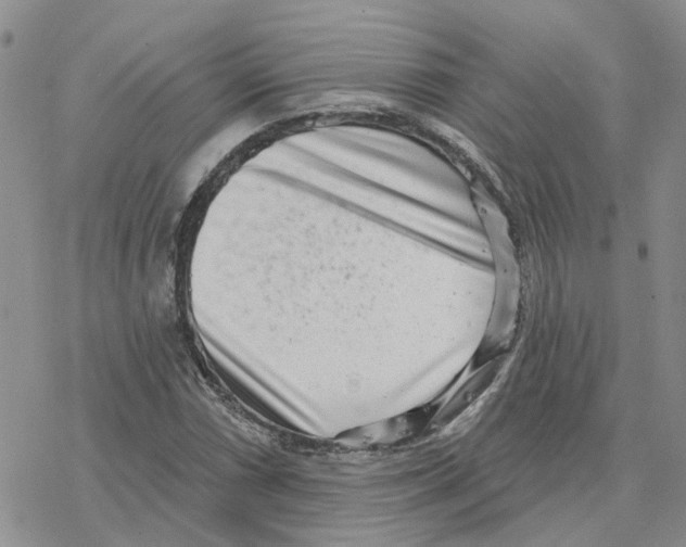 X0000077311066200611171711