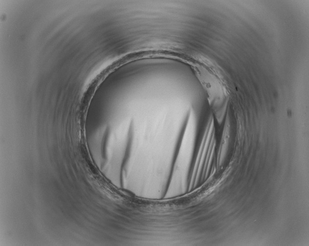 X0000077311069200611171711