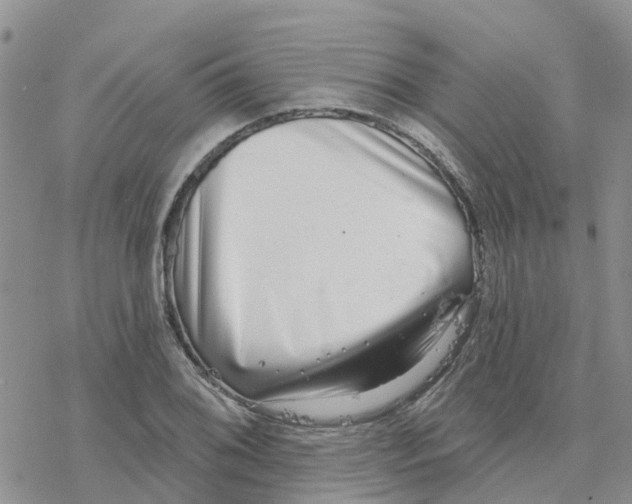 X0000077311076200611171711