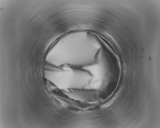 X0000077311081200611171711