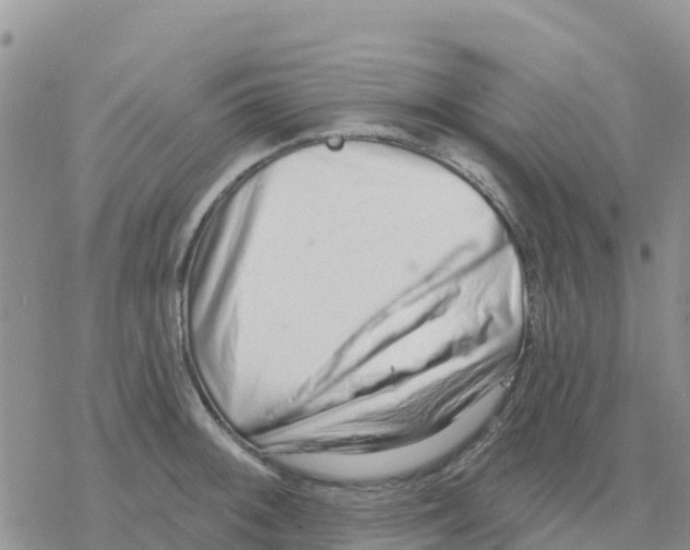 X0000077311092200611171711