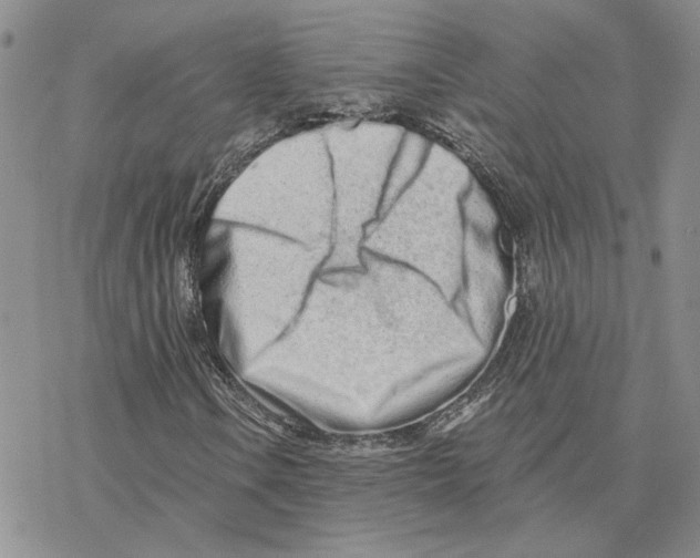 X0000077311106200611171710