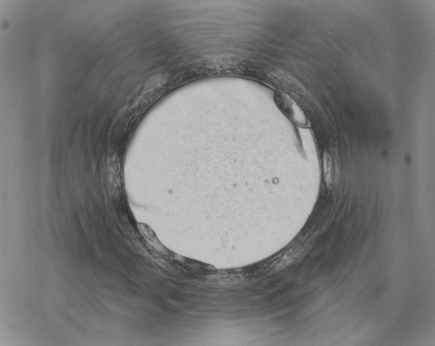 X0000077311107200611171710