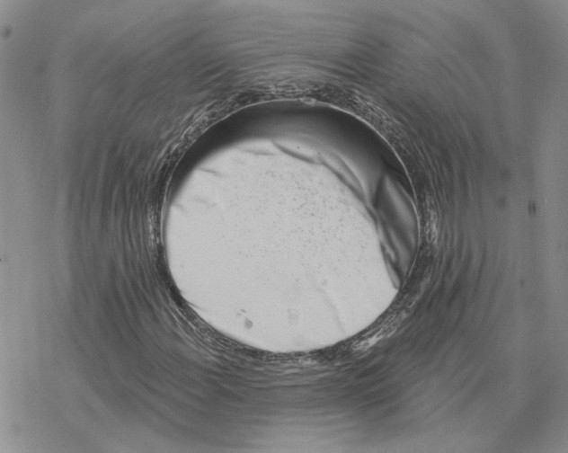 X0000077311108200611171710