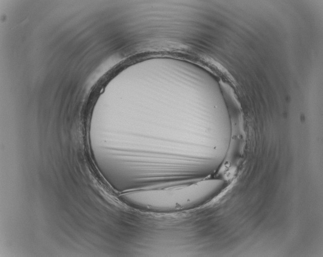 X0000077311114200611171710