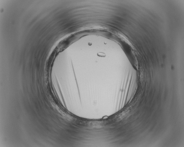 X0000077311116200611171710