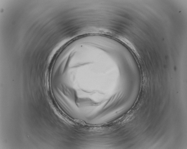 X0000077311128200611171710