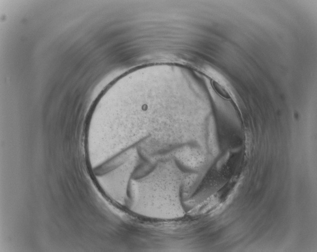 X0000077311141200611171711