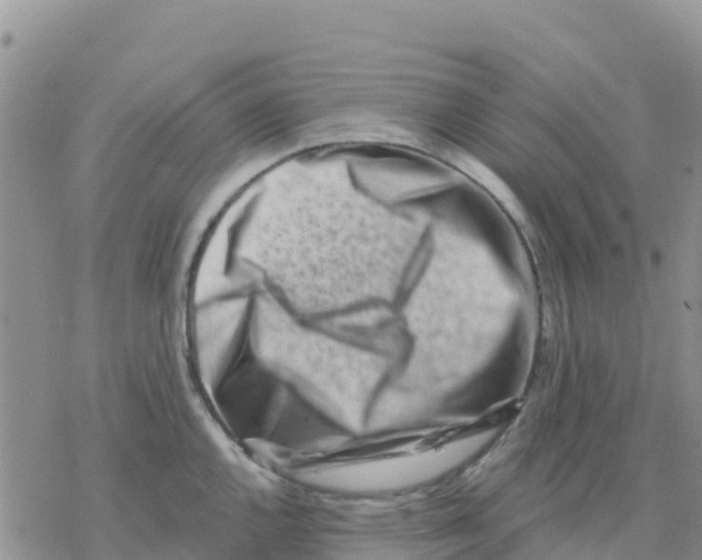 X0000077311144200611171711