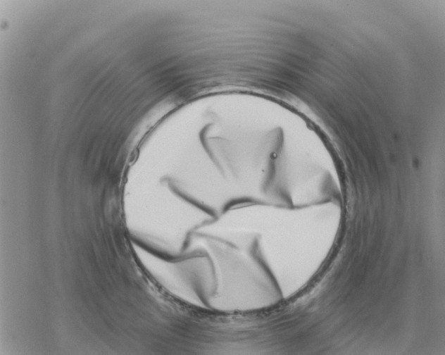 X0000077311145200611171711