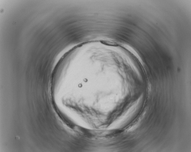 X0000077311149200611171711