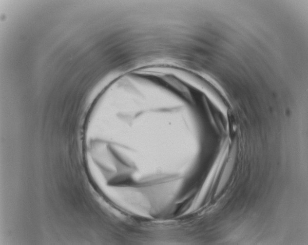 X0000077311151200611171711